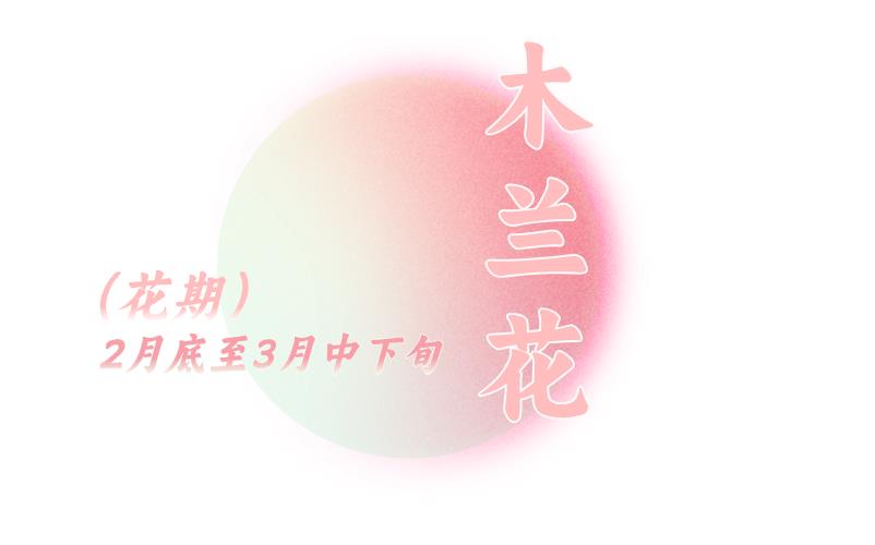ĬJ(rn)(bio)}